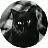 Brian H avatar black cat Seventh Heaven