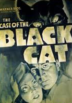 The Case of the Black Cat poster