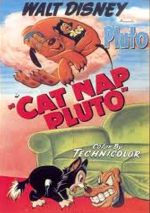 Cat Nap Pluto poster
