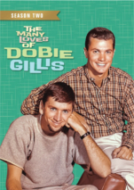 The Many Loves of Dobie Gillis Season 2 DVD