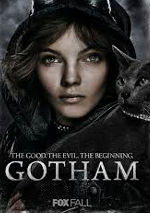 Gotham Selina Kyle Cat Woman art