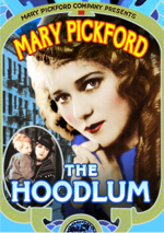 The Hoodlum DVD