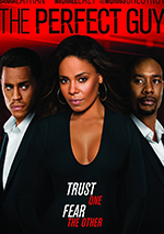 The Perfect Guy DVD