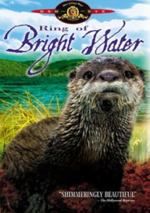 Ring of Bright Water DVD