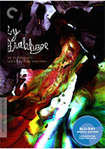 Stan Brakhage Compilation DVD