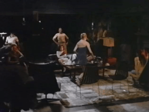 The 300 Year Weekend - white cat walking in front of room of therapy patients animated gif