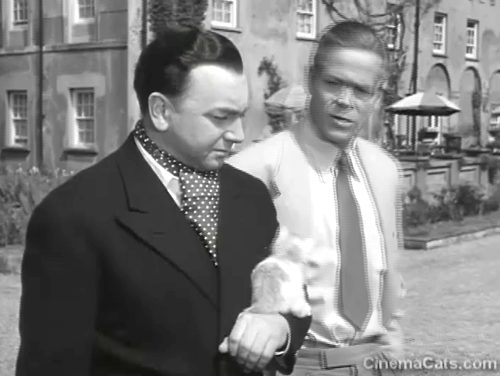 36 Hours - Orville Hart John Chandos holding bicolor tabby kitten on arm while walking with Bill Rogers Dan Duryea animated gif