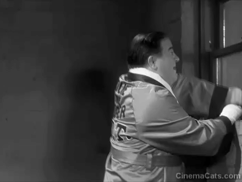 Abbott and Costello Meet the Invisible Man - angry black cat in hissing in window at Lou Costello animated gif