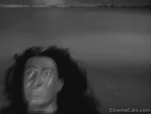 Abbott and Costello Meet Dr. Jeckyll and Mr. Hyde - reverse footage of Indian wax head being pulled off longhair white cat lying on floor animated gif