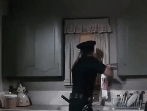 Adam-12 - Missing Child - Officer Malloy Martin Milner turns off gas at stove saving two longhair Angora cats Angela and Domenic in basket on floor animated gif