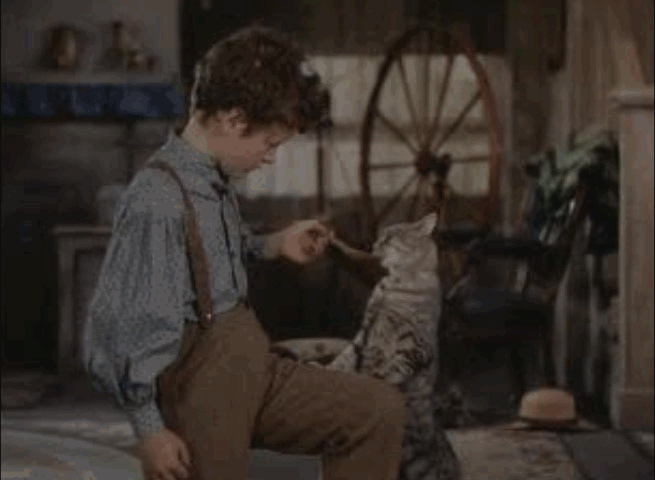 The Adventures of Tom Sawyer - tabby cat Peter drinking medicine from spoon animated gif