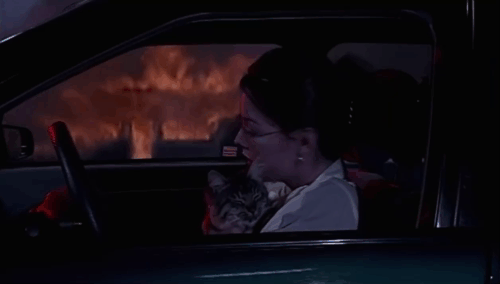 Alien Species - Holly Barbara Fierentino with longhair tabby cat Roy Bubba in car with house burning in background animated gif