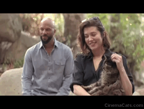 All About Nina - Nina Mary Elizabeth Winstead petting brown tabby cat and gray blue cat animated gif