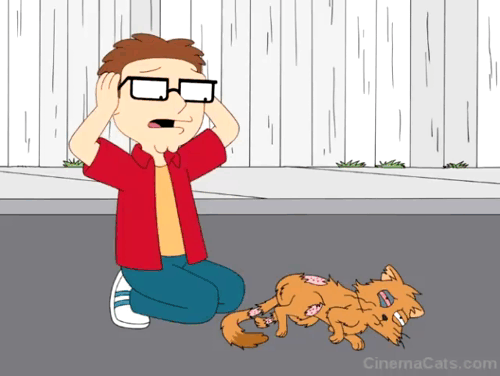 American Dad - Choosy Wives Choose Smith - orange cat Simon attacks Steve animated gif