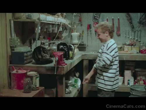 Amityville Horror The Evil Escapes - tabby cat Pepper jumping down from table as Brian Aron Eisenberg picks up chainsaw animated gif