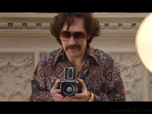 Anchorman 2 - gray and white kittens in photo shoot with Brian Fantana Paul Rudd animated gif