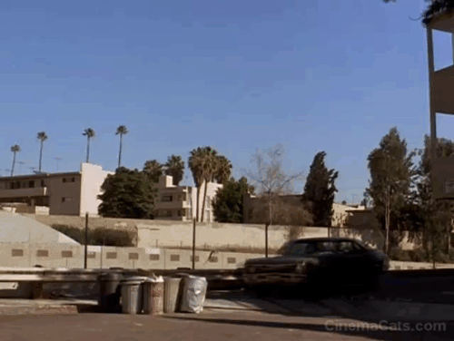 Another You - car hits garbage cans and send black cat flying through air animated gif