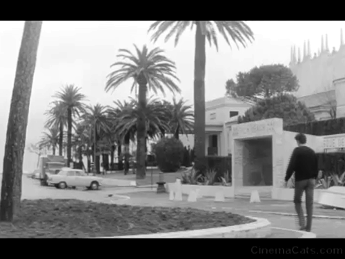 Any Number Can Win - black cat crossing road behind Francis Alain Delon animated gif