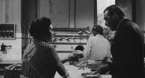 The Ape Woman - La donna scimmia - Antonio Ugo Tognazzi moving black kitten on table behind him before moving the cat to the floor animated gif