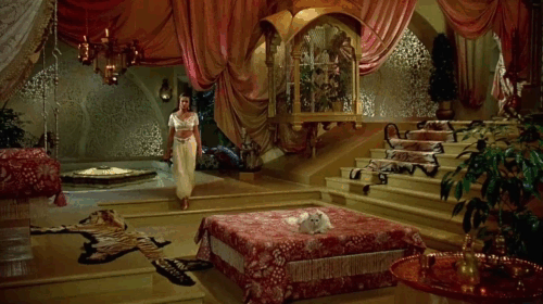 Arabian Adventure - longhair white cat on pallet as Princess Zuleira Emma Samms passes animated gif