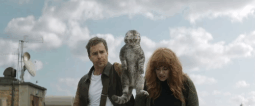 Argylle - silver tabby Scottish fold cat Alfie Chip dropped off building by Aidan Sam Rockwell with Elly Bryce Dallas Howard animated gif