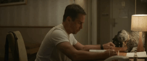 Argylle - silver tabby Scottish fold cat Alfie Chip scratching Aidan Sam Rockwell on hand animated gif