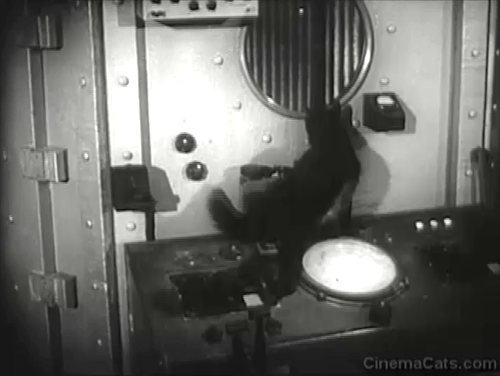Monstrosity - The Atomic Brain - black cat Xerxes looking through round window into atomic chamber at Dr. Frank Gerstle animated gif