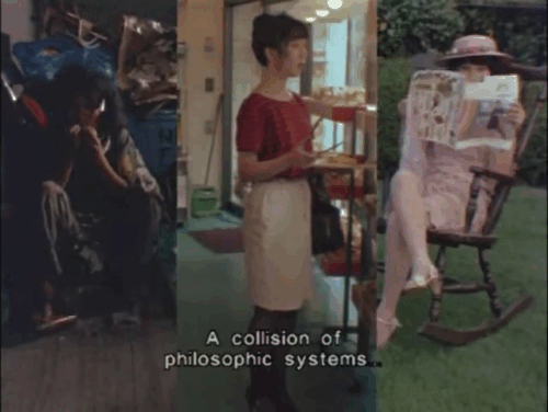 Attack on a Bakery - three way split screen with bag lady, woman in bakery and woman in garden and tabby and white bobtail cat moving from one scene to another animated gif