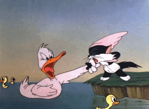 Baby Bottleneck - cartoon duck trying to get fighting black and white kitten to go into water animated gif