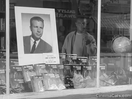 The Bad and the Beautiful - James Lee Bartlow Dick Powell looking into bookstore window with tabby cat animated gif