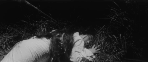 Bakeneko - ghost of Masumi Tachibana transitioning into tabby and white cat Tama lying by swamp animated gif