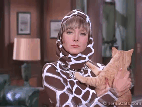 Batman - Marsha's Scheme of Diamonds - Carolyn Jones petting ginger tabby cat Circe animated gif