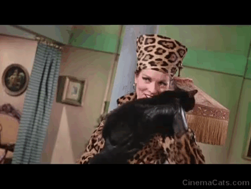 Batman the Movie - Catwoman Lee Meriwether dropping confused black cat Hecate on table to threaten Joker Cesar Romero and Riddler Frank Gorshin animated gif