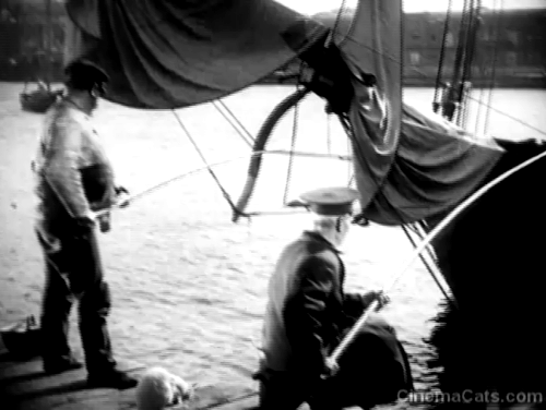 Battleship Potemkin - white cat sitting between two men fishing off dock animated gif