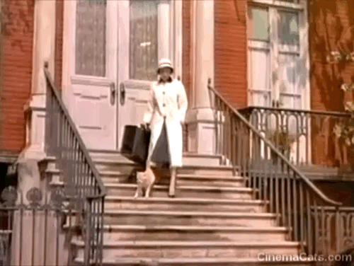 Beau James - Betty Compton Vera Miles walking down steps with ginger tabby cat Tom Orangey animated gif