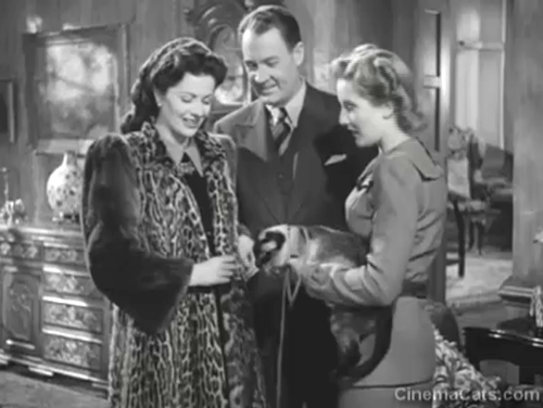 Bedelia - Bedelia Margaret Lockwood being given Siamese cat Topaz Sheba from Ellen Anne Crawford with Charlie Ian Hunter animated gif