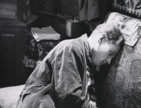 Bed and Sofa - Volodia Vladimir Fogel petting tabby cat on couch animated gif