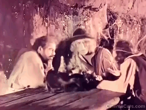 The Beloved Rogue - two black cats sitting on table in tavern with men animated gif