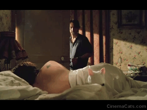 Betty Blue - Zorg Jean-Hugues Anglade looking at white cat in bed with Betty Béatrice Dalle animated gif