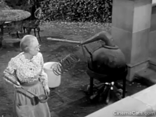 The Beverly Hillbillies - Jed Plays Solomon - Rusty cat Orangey walking with pigeon on back past Granny Irene Ryan animated gif