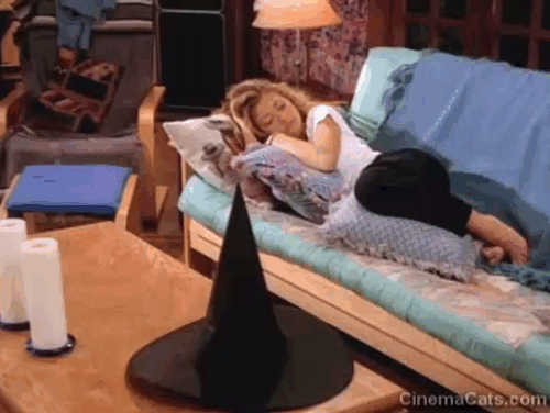 Beverly Hills 90210 - Gypsies, Cramps and Fleas - black kitten Trouble climbing on top of Toni Rebecca Gayheart with Dylan Luke Perry animated gif