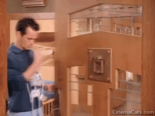Beverly Hills 90210 - Gypsies, Cramps and Fleas - black kitten Trouble outside front door with Dylan Luke Perry animated gif