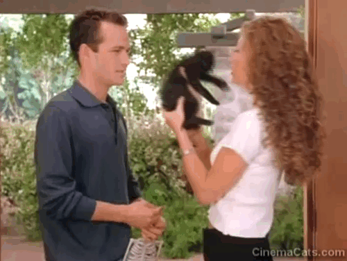 Beverly Hills 90210 - Gypsies, Cramps and Fleas - black kitten Trouble being loved by Toni Rebecca Gayheart with Dylan Luke Perry animated gif