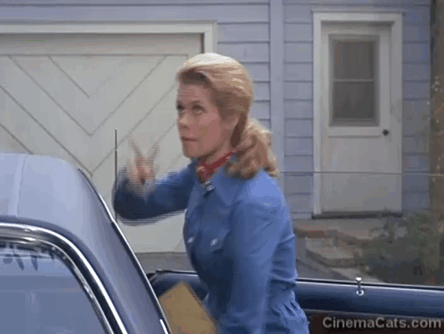 Bewitched - Mrs. Stephens here Are You? - Samantha Elizabeth Montgomery using magic to get ginger and white tabby cat Victoria down from tree animated gif
