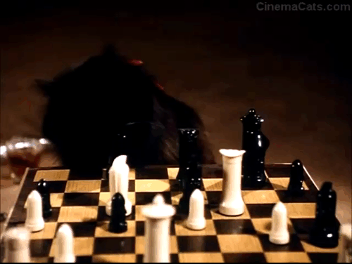 The Big Turnaround - black cat Archibald playing chess