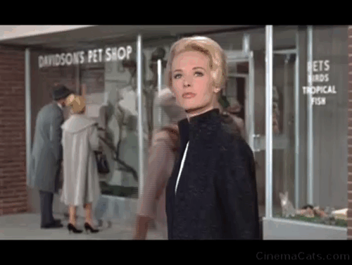 The Birds - Melanie Tippi Hedren entering pet store as Hitchock exits with dogs with kittens in window animated gif