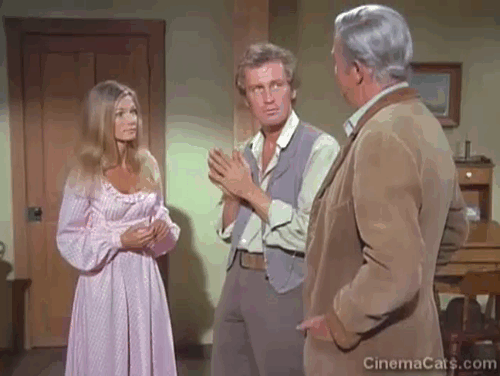 Black Noon - ginger tabby cat playing behind Deliverance Yvette Mimieux, Reverend Keyes Roy Thinnes and Caleb Ray Milland animated gif