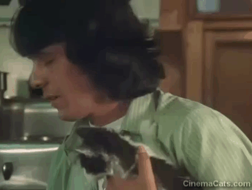 The Blue Knight - Mexican diner worker Rudy Ramos holding and kissing black and white tuxedo kitten animated gif
