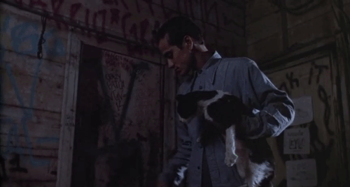 Boulevard Nights - Chuco Danny De La Paz holding up and petting tuxedo cat animated gif