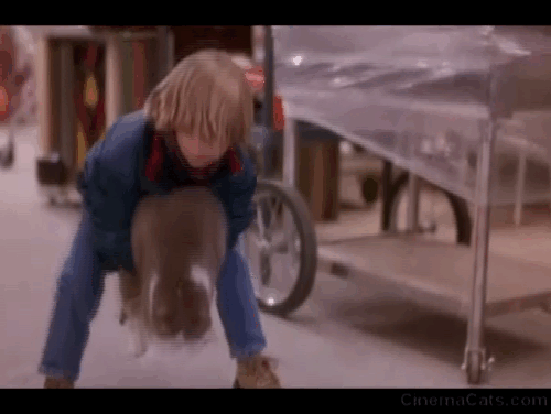 Bogus - Albert Haley Joel Osment carrying gray and white cat animated gif